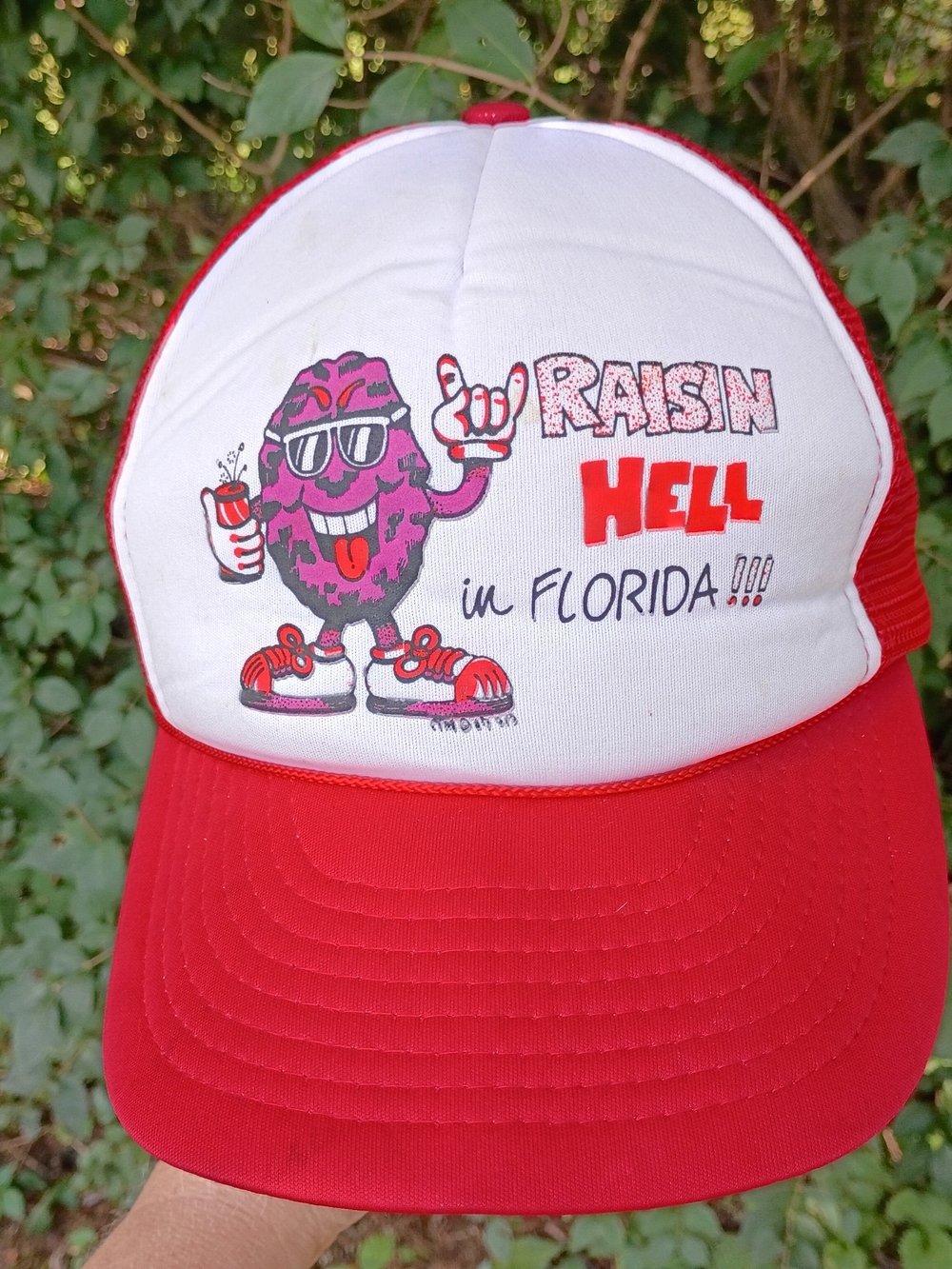 Vtg 1980s California Raisins Raisin Hell in Florida Snapback Trucker Hat
